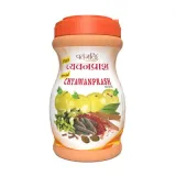 Patanjali Chyawanprash 500 G