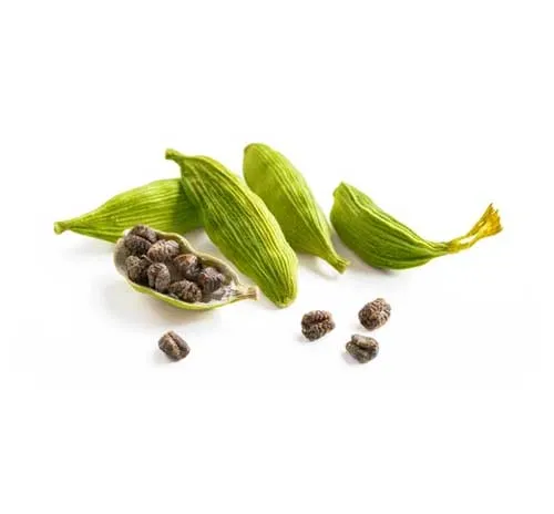 Green Cardamom (Elaichi) 20 Gm 