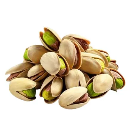 Premium Pistachios 100 Gm (Salted) 
