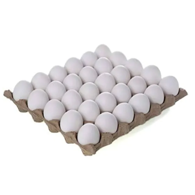 Normal Eggs - Plate (30 Pcs ) 